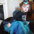 Erin’s Peacock Halloween Costume- Tutu Erin’s Peacock Halloween Costume- Tutu